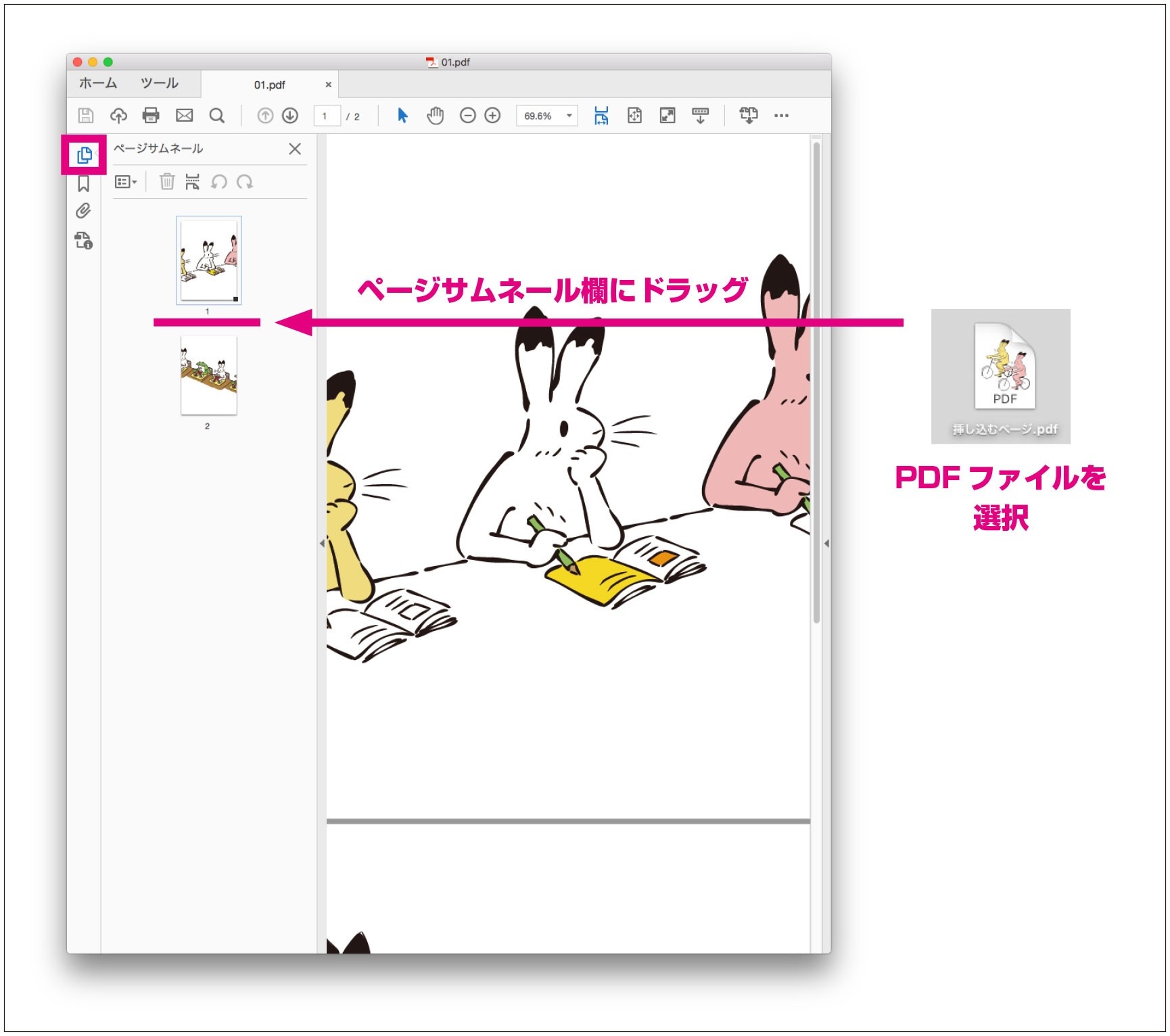pdf5